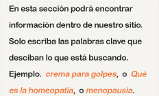 En esta sección podrá encontrar información dentro de nuestro sitio.