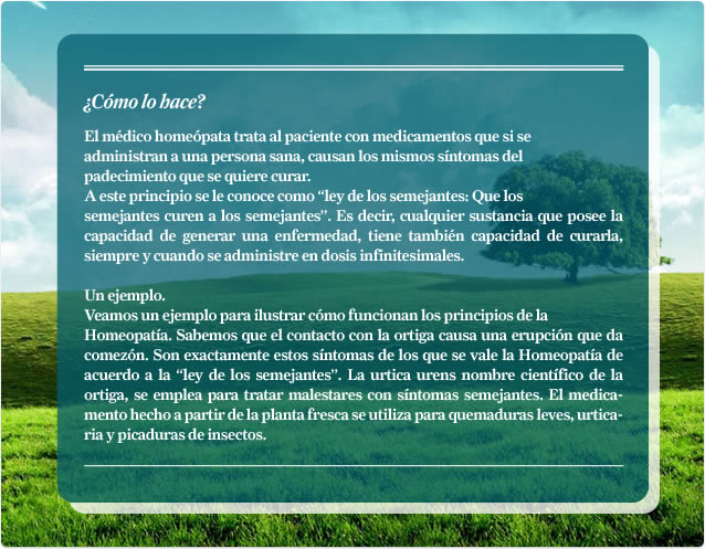 Homeopatía