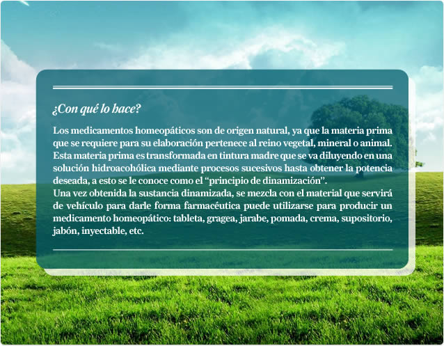 Homeopatía